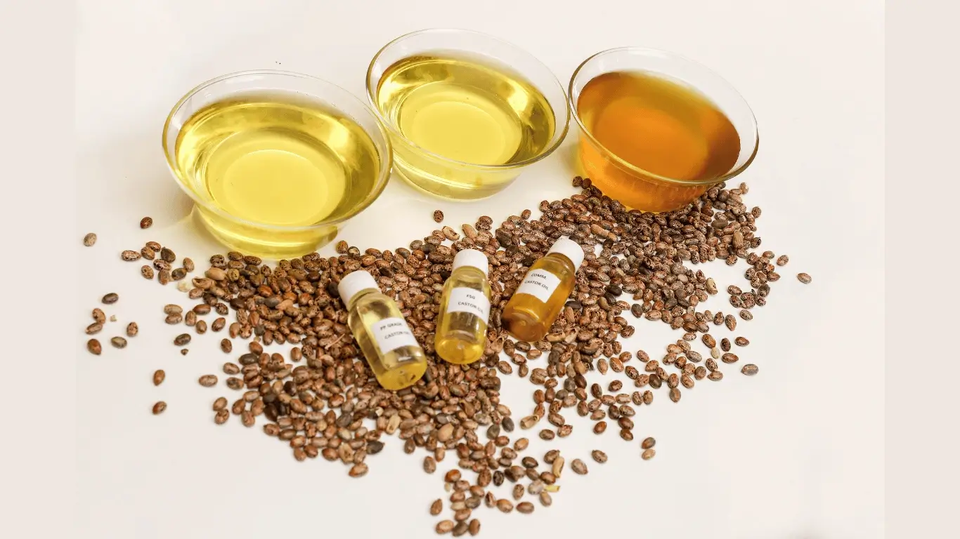 castor oil products in bottle on seeds